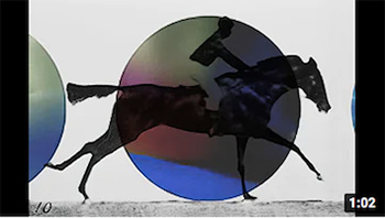 picture of horse and rider